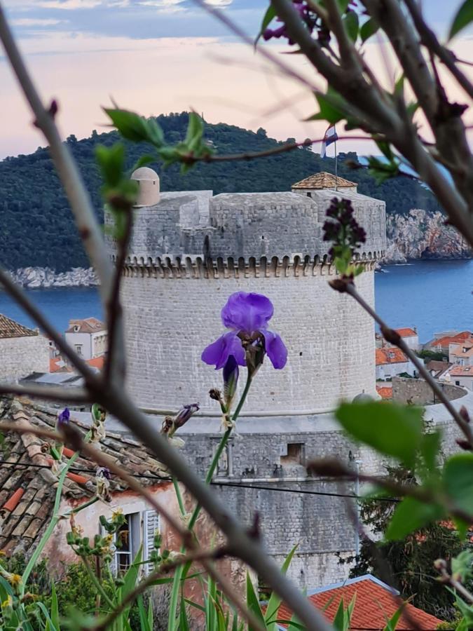 Apartment Bruana 5 Dubrovnik Eksteriør bilde