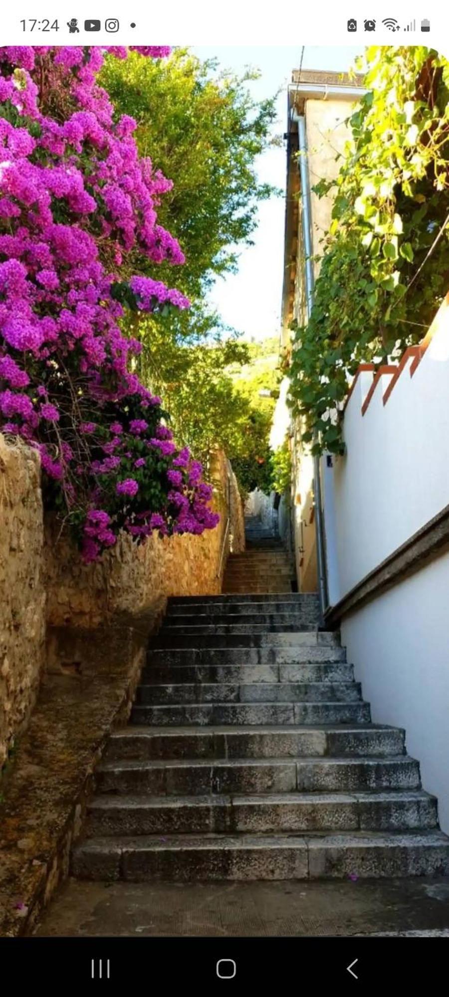 Apartment Bruana 5 Dubrovnik Eksteriør bilde