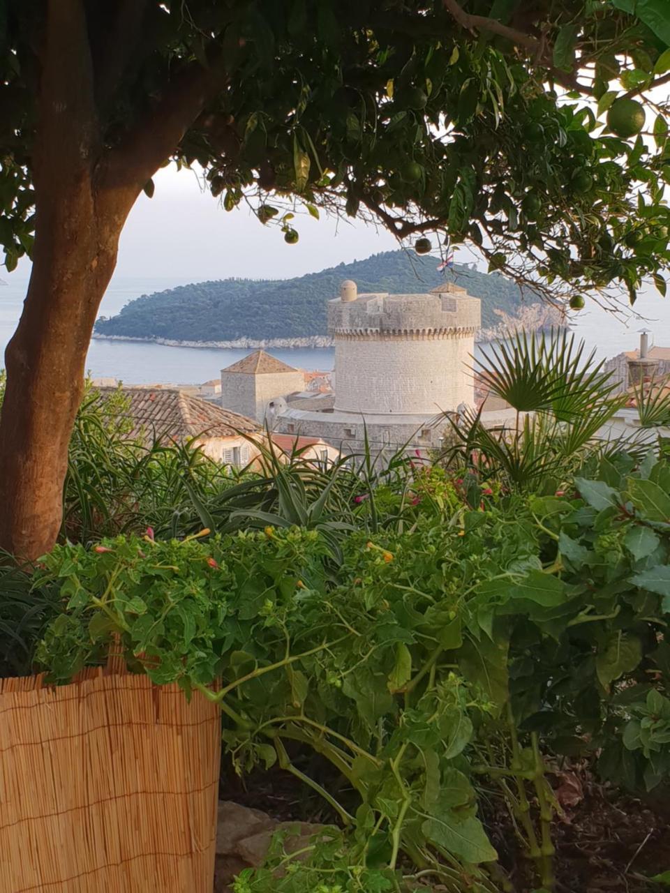 Apartment Bruana 5 Dubrovnik Eksteriør bilde