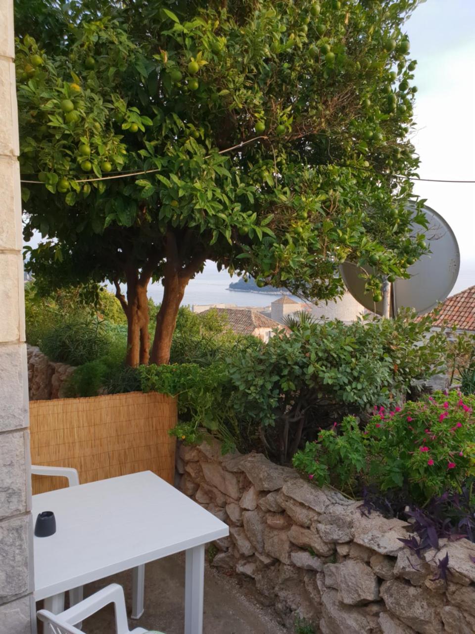 Apartment Bruana 5 Dubrovnik Eksteriør bilde